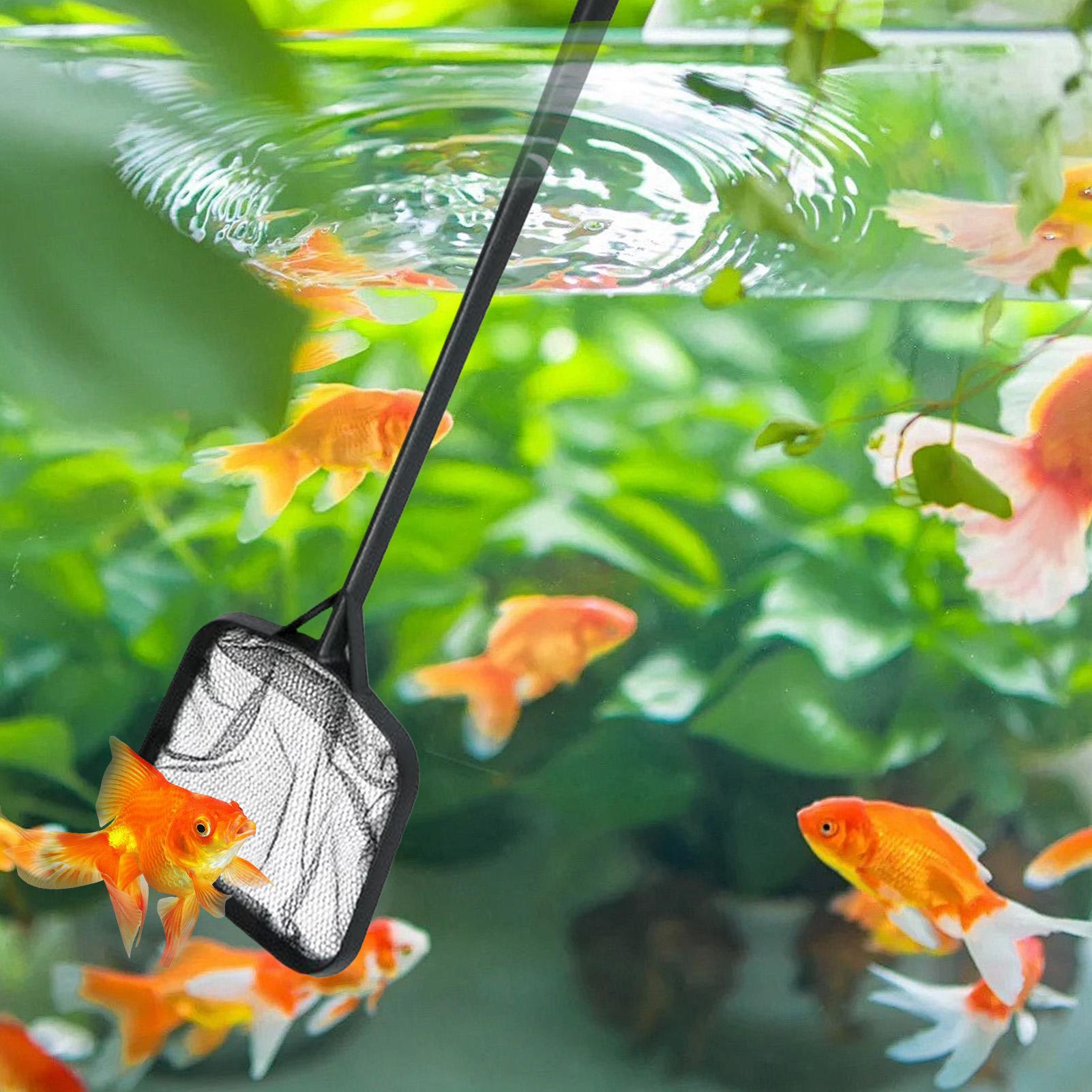 Poolnetze zur Reinigung, tragb – Aquarium Fish Items Bewertung und Preis