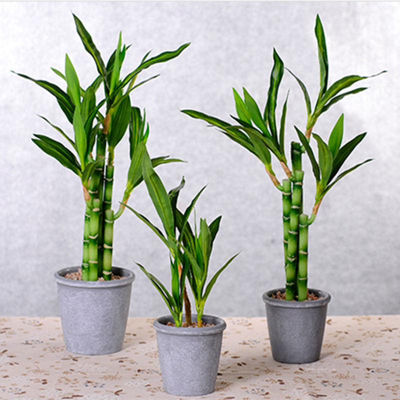 Neue 40 cm rFtificial Lucky Ba – Aquarium Fish Items Bewertung und Preis