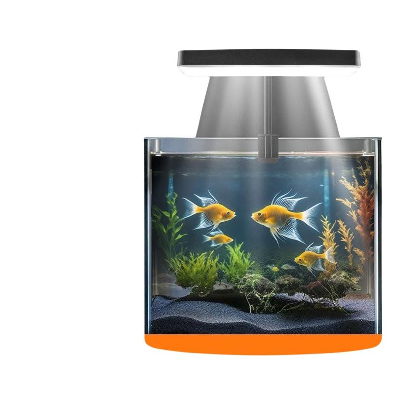 USB-Aquarium-Clipleuchte mit F – Aquarium Fish Home Bewertung und Preis
