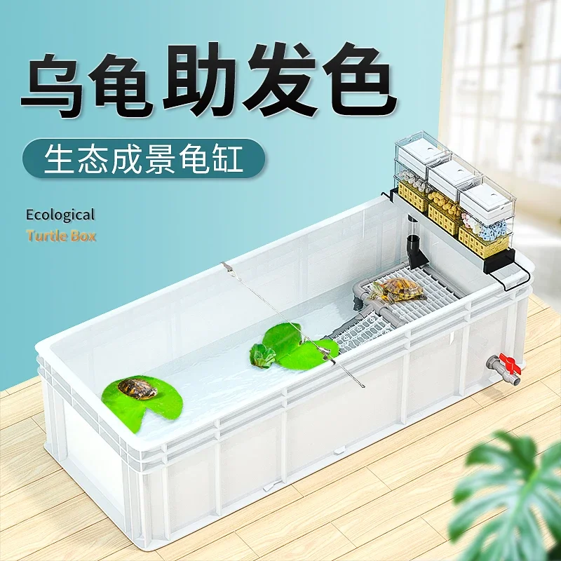 Professionelles Schildkrötenbe – Fish Co Aquarium Bewertung und Preis