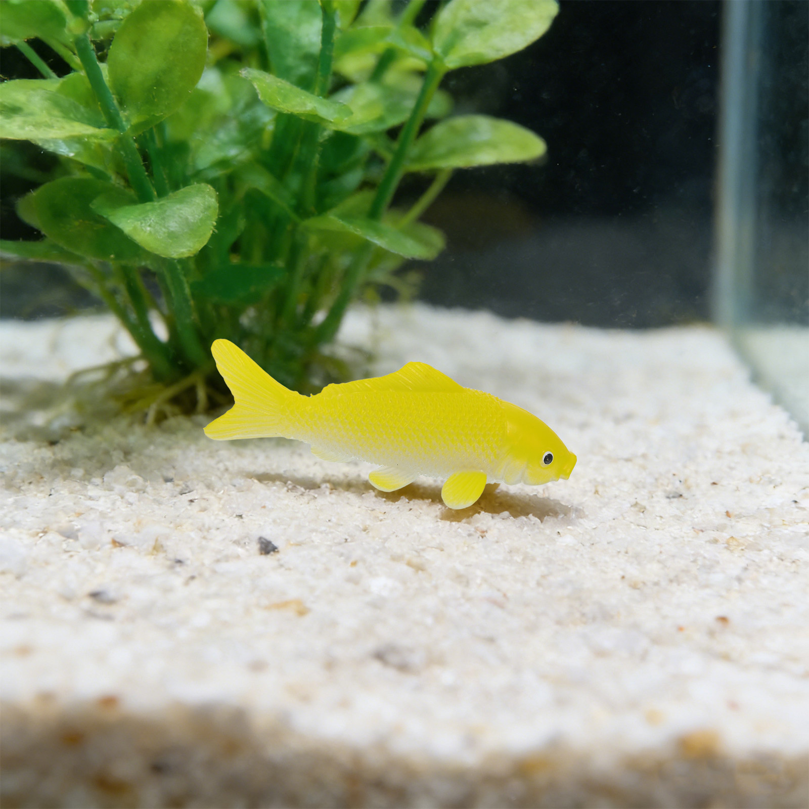 3-teiliges Fisch-Kunsthandwerk – Aquarium Fish Home Bewertung und Preis