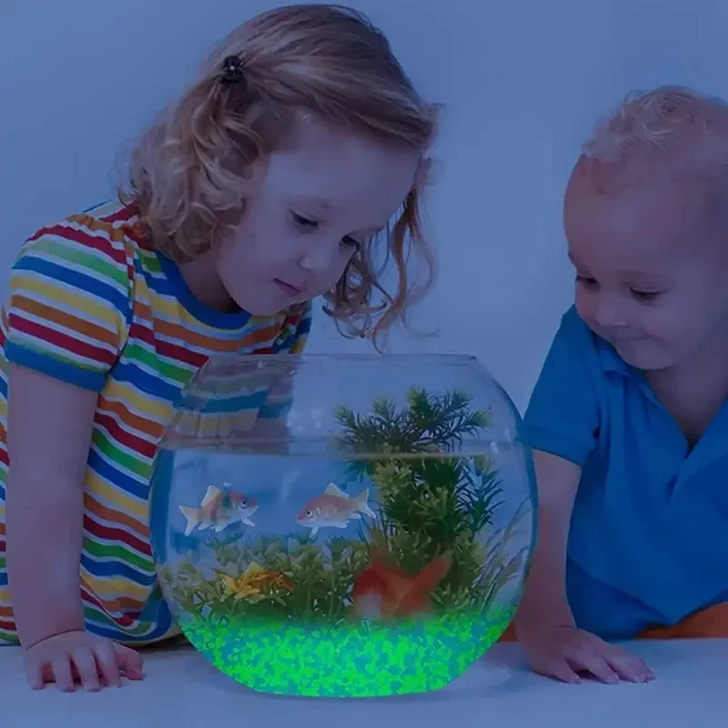 1000 Stück 3–5 mm leuchtender  – Aquarium Fish House Bewertung und Preis