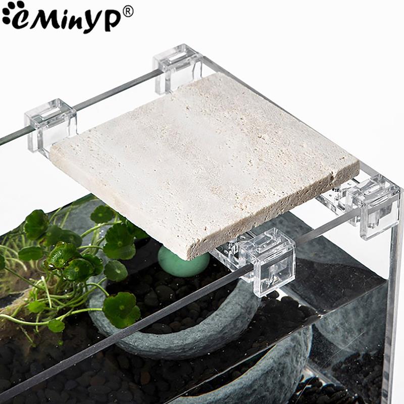 4Pcs Aquarium Acryl Clips für  – Aquarium Fish Items Bewertung und Preis