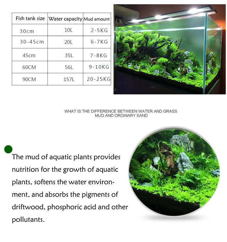 Aquarium Pflanzen Samen Boden  – Aquarium Fish Items Bewertung und Preis