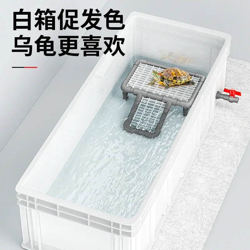 Professionelles Schildkrötenbe – Fish Co Aquarium Bewertung und Preis