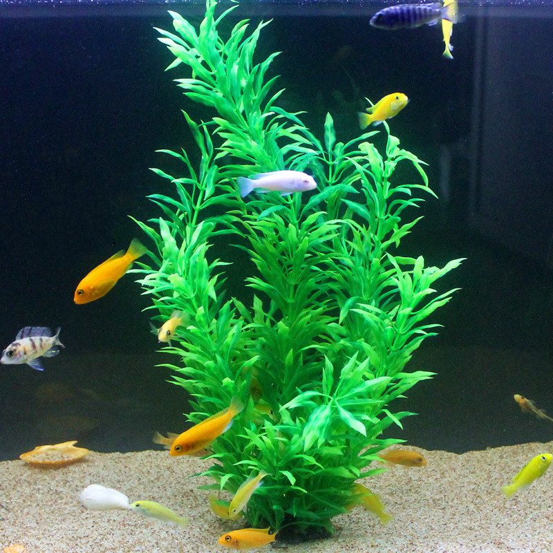 50CM Künstliche Aquarium Selte – Aquarium Fish Items Bewertung und Preis
