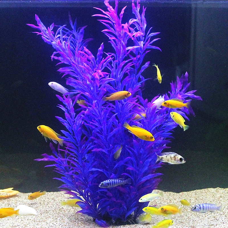 50CM Künstliche Aquarium Selte – Aquarium Fish Items Bewertung und Preis