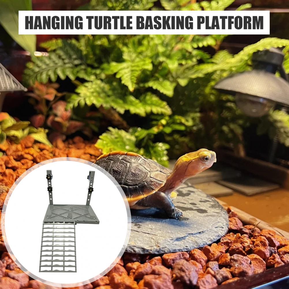 Aquarium-Dekoration: Feste Hän – Aquarium Fish House Bewertung und Preis