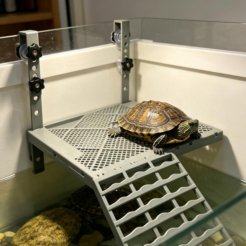 Aquarium-Dekoration: Feste Hän – Aquarium Fish House Bewertung und Preis
