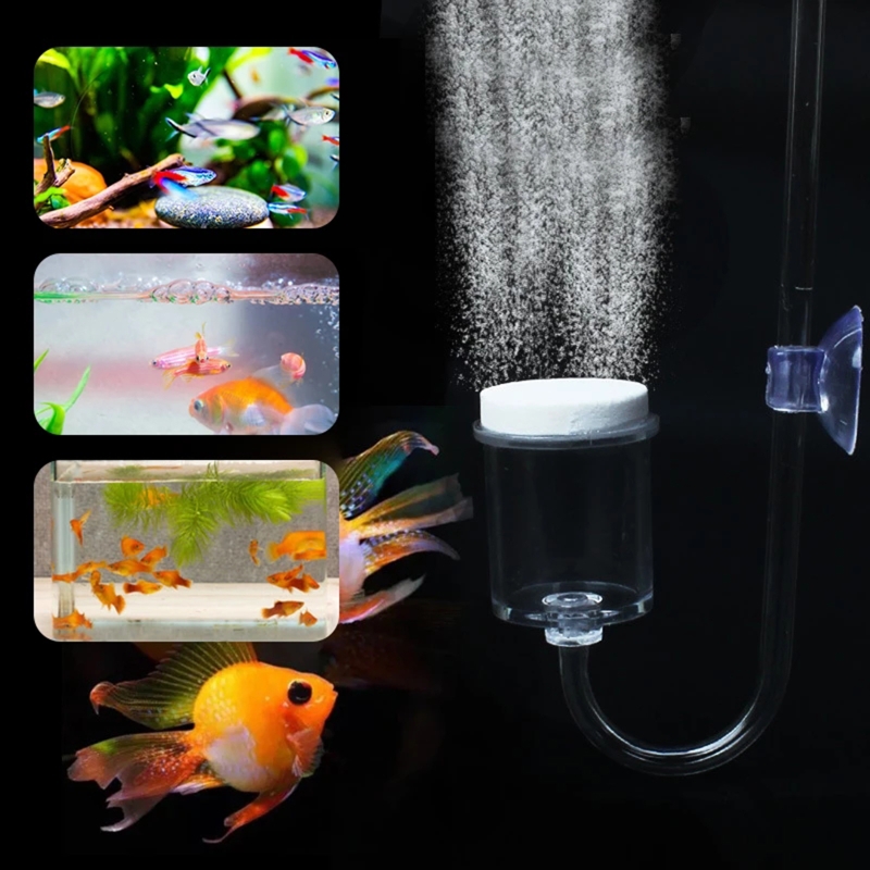 4 stücke Set DIY CO2-Diffusor  – Aquarium Fish Items Bewertung und Preis